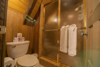 a bathroom with a toilet and a shower with towels at Alpine Lakefront - Lakefront cabin and all the amenities really fun from the pool table and spa in Big Bear Lake