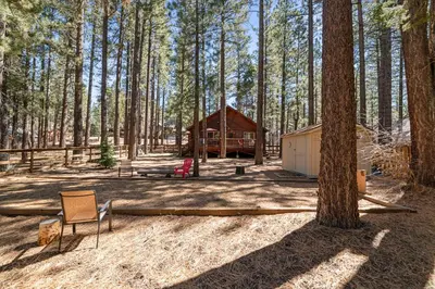 a cabin in the woods with a chair and a tree at Catalina Creekside Cabin - Log home with wood burning fireplace for an immersive mountain getaway! in Big Bear Lake