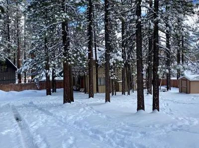 a yard covered in snow with trees and a cabin at Rincon Cabin - Close to the lake with a huge fenced in yard! Hot tub and deck with barbecue! in Big Bear Lake