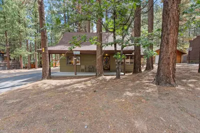a cabin in the woods with a bunch of trees at Bear Crossing - Walk to Snow Summit! Visit this charming mountain home compete with foosball table in Big Bear Lake