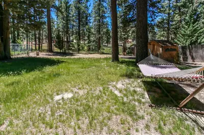 a yard with trees and a hammock in the grass at Little Big Pine - Perfect, stylish cabin near the lake with a great deck in Big Bear Lake