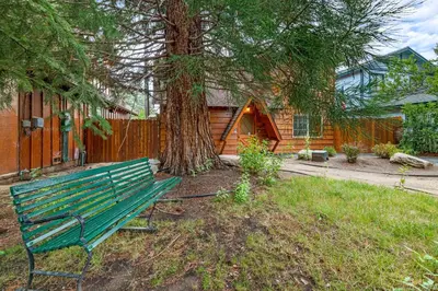 a green park bench sitting in front of a tree at Mallard Landing - Steps from the marina and minutes from the Village in Big Bear Lake