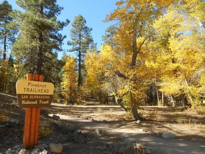 a sign at the end of a trail in a forest at Summit Condo - Luxury condo, walk to the slopes! in Big Bear Lake
