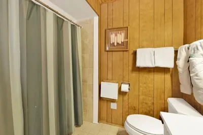 a bathroom with a toilet and a shower at Pinglewood Cabin- Furnished Fawnskin Group Retreat in Fawnskin