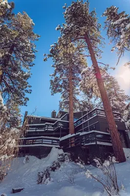 a house in the snow between two trees at Spectacular Designer Treehouse with Mountain Views in Pine Mountain Club