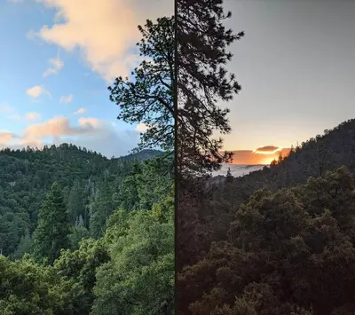 two images of a forest with a tree at Spectacular Designer Treehouse with Mountain Views in Pine Mountain Club