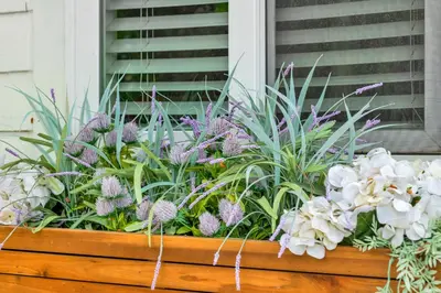a wooden box filled with flowers and plants at Retro Cottage, Hot Tub, Putting Green, walk to all in Thousand Oaks