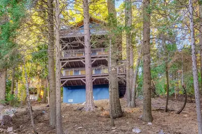 a tree house in the middle of the woods at Tree-Lined Lake Arrowhead Cabin about 1 Mi to Village! in Lake Arrowhead