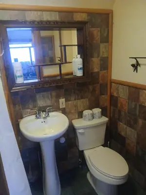 a bathroom with a toilet and a sink and a mirror at The Village Cabins in Big Bear Lake