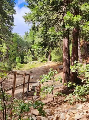 a dirt road in a forest with a wooden fence at The Ponderosa in Running Springs