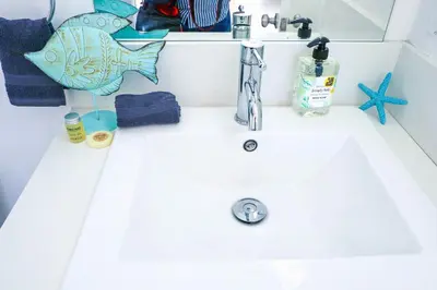 a bathroom sink with a fish on top of it at 4BR/4BR modern house at Mid-city in Los Angeles