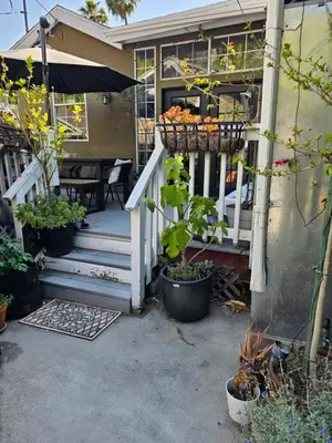 a porch of a house with a bunch of plants at Tranquility at the House of Alchemy Hollywood in Los Angeles