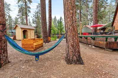 a hammock in the middle of a forest at Mountain Getaway in Big Bear Lake