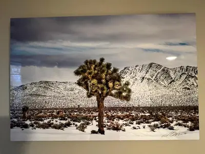 a painting of a tree in the desert with mountains at Chic Venice Beach Bungalow Steps from the Canals & Beach in Los Angeles