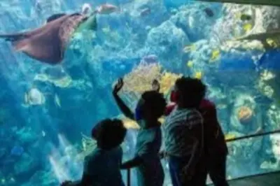 a group of people looking at a dolphin in an aquarium at Beautiful Spacious 2 Bedroom, 2 Bathroom Condo in Long Beach