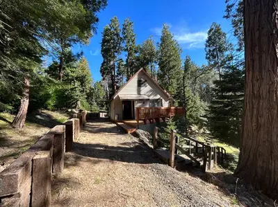 a small cabin in the middle of a forest at Sequoia National Forest CabinD in Panorama Heights