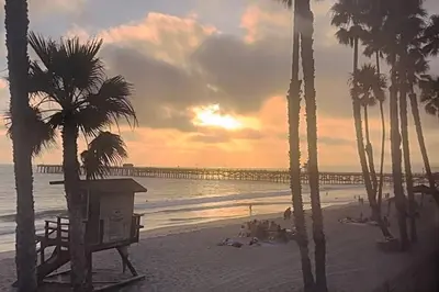 a view of a beach with palm trees and a pier at Beachfront Paradise in Port Hueneme