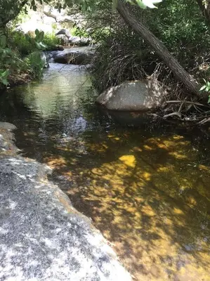 a stream of water with rocks and trees at Tillie Creek Retreat: a Creekside Oasis in Wofford Heights