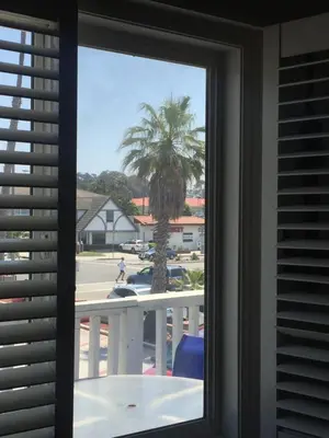 a view of a palm tree from a window at The Shores Inn in Ventura