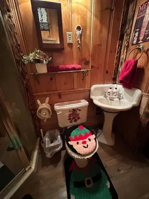 a small bathroom with a toilet and a sink at 1 B1B lake cabin/walk to lake/Boulder bay park in Big Bear Lake
