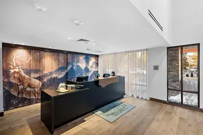 an office with a reception desk with a picture of animals on the wall at Hampton Inn Big Bear Lake in Big Bear Lake