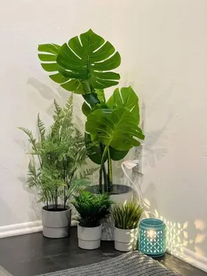 a group of potted plants sitting on a table at 2BR Suite in the Heart of Hollywood -BR5 in Los Angeles
