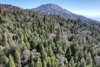 an aerial view of a forest of trees with a mountain at A-Frame Cabin in The Sequoias in Wofford Heights