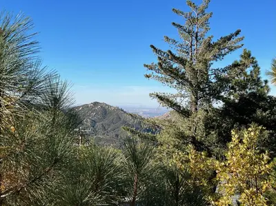 a view of a mountain through some trees at EV level 2, Pets Welcome at Sunset Ridge in Lake Arrowhead