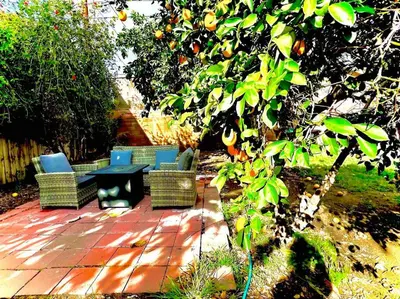 a patio with chairs and a table under an orange tree at Walk To Americana on Brand. in Glendale