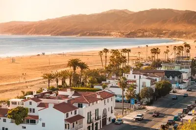 an aerial view of a beach with palm trees and houses at 11 Best Walk location of SM in Los Angeles