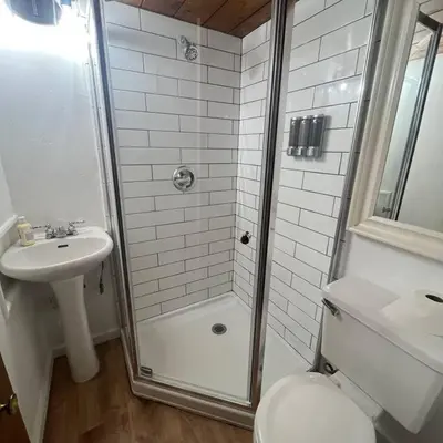 a bathroom with a shower and a toilet and a sink at Lake Arrowhead Lux Black Cabin in Lake Arrowhead