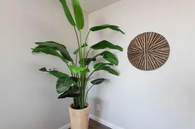 a plant in a vase in a room with a wall at Hollywood 2Bed Apt w Rooftop pool & Panoramic View in Los Angeles