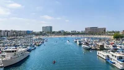 a group of boats docked in a harbor at The Blossom-Modern 1BR Getaway in Marina Walk to Water&Restaurants in Los Angeles