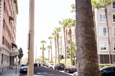 a city street with palm trees and parked cars at Seaside Bliss -Downtown! Beach! ConvCenter! Bikes! in Long Beach