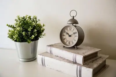 a clock sitting on two books next to a potted plant at Seaside Bliss -Downtown! Beach! ConvCenter! Bikes! in Long Beach