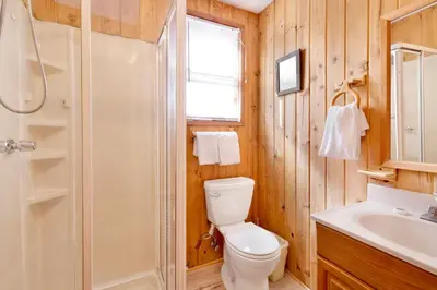 a bathroom with a toilet and a shower and a sink at JUS' RESTIN #265 in Big Bear Lake