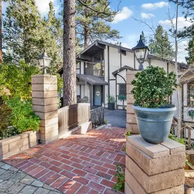 Soaring pines #2193