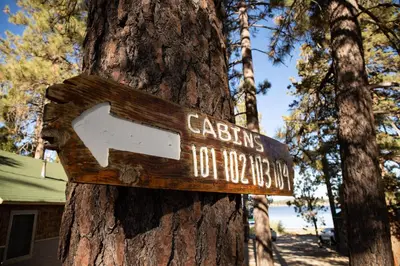 a sign on a tree that says cabins not motel at Shore acres lodge #451 in Big Bear Lake