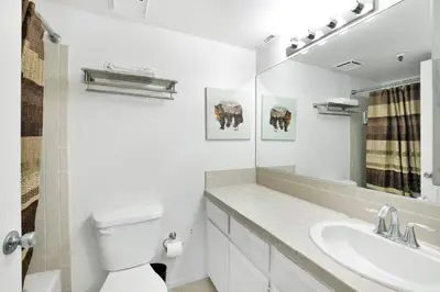 a bathroom with a toilet and a sink and a mirror at BROWNIE'S DEN #2205 in Big Bear Lake