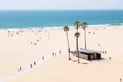 a group of people on a beach with palm trees at Fortuna-Seaside Retreat in Santa Monica, steps to the beach, free parking in Los Angeles
