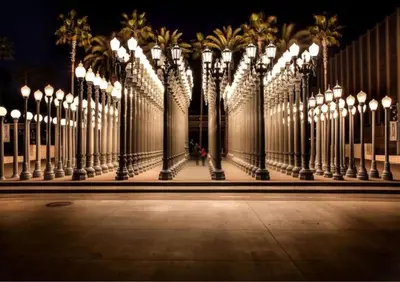 a row of lights on a building with palm trees at Cozy Home in LA - Free Parking 10 Min to Cedars in Los Angeles