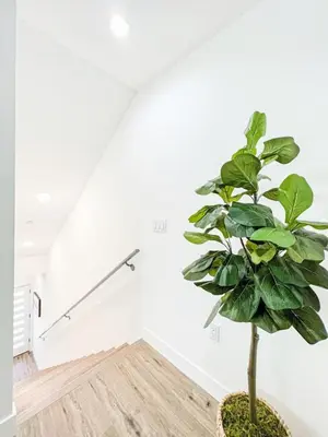 a plant in a room with a staircase at Elegant 4-Bedroom Family Home - Oak2 - LAD in Los Angeles