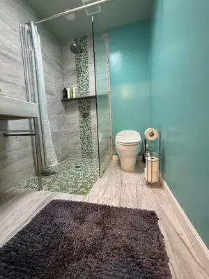 a bathroom with a shower and a toilet and a rug at Pasadena Old Town Cottage in Pasadena