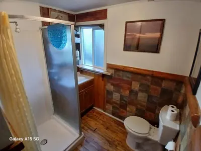 a bathroom with a toilet and a shower at Big Bear Lake - Tulip Lane Cabin #21 in Big Bear Lake