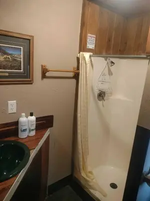 a bathroom with a shower and a sink at Big Bear Lake - Tulip Lane Cabin #25 in Big Bear Lake