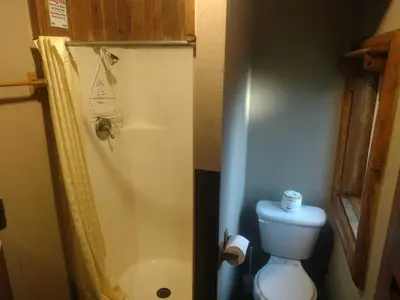 a small bathroom with a toilet and a shower at Big Bear Lake - Tulip Lane Cabin #25 in Big Bear Lake