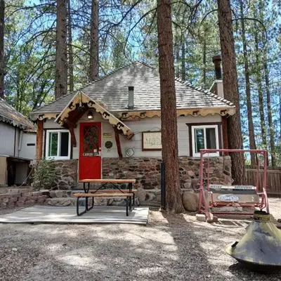 Big Bear Lake - Tulip Lane Cabin #25