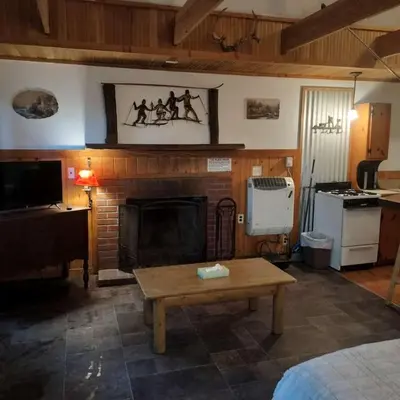 a living room with a fireplace and a table at Big Bear Lake - Tulip Lane Cabin #26 in Big Bear Lake
