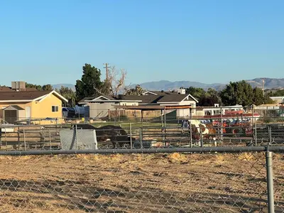 a group of cows in a field behind a fence at Quaint Vintage Ranch Style 4BedRoom 2Bath Sleeps 10 in Lancaster