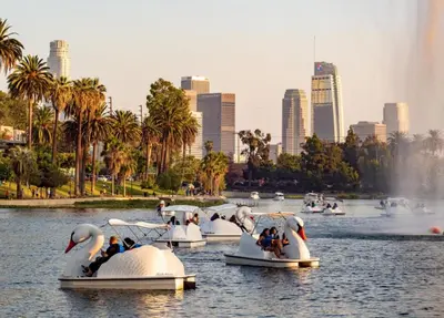 people are riding on swan boats in the water at Bright lights central Downtown in Los Angeles